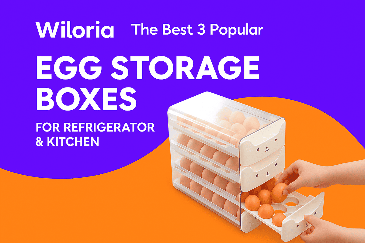 Wiloria | The Best 3 Popular Egg Storage Boxes